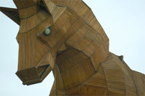 (<a href=http://www.wired.com/threatlevel/2011/02/fcc-trojan-horse>image source</a>)